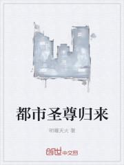 都市神尊归来叶辰