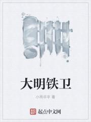 大明铁卫哪里看