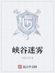 古峡迷雾