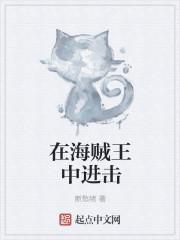 在海贼世界建立势力的