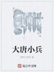 大唐小兵有声书
